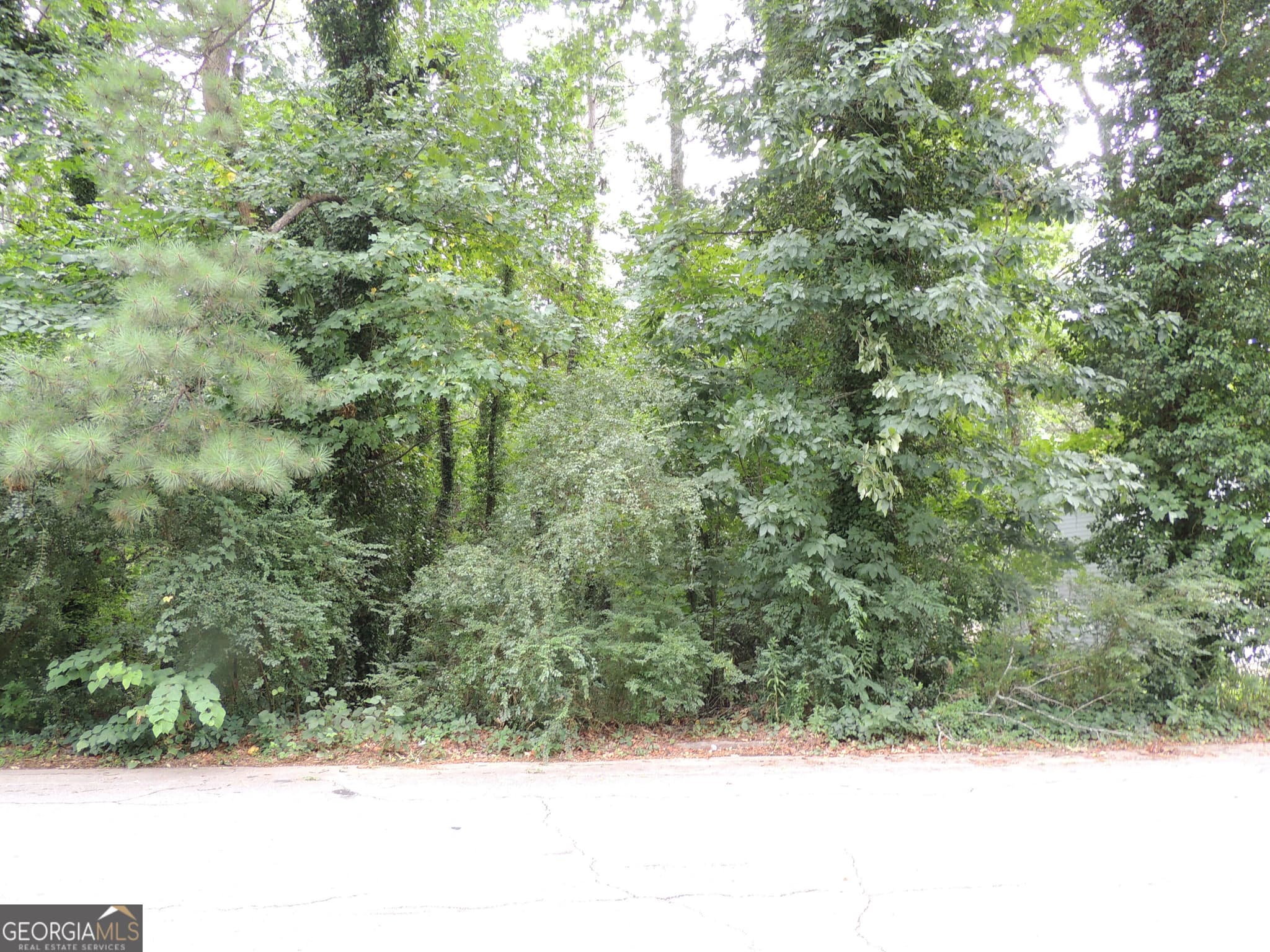 residential lot for sale at 1956 Austin Road, Atlanta, GA 30331 — photo 3