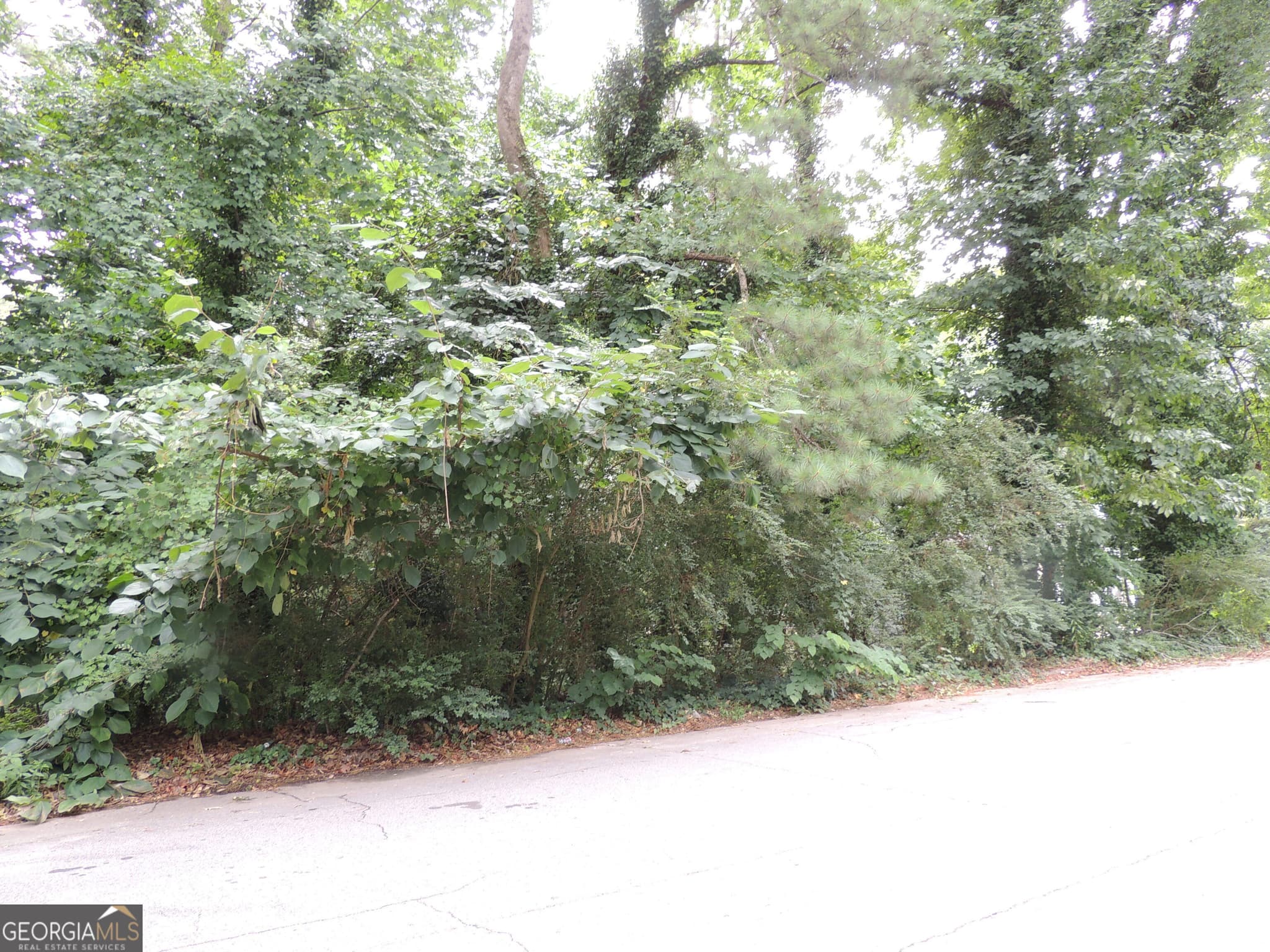 residential lot for sale at 1956 Austin Road, Atlanta, GA 30331 — photo 5