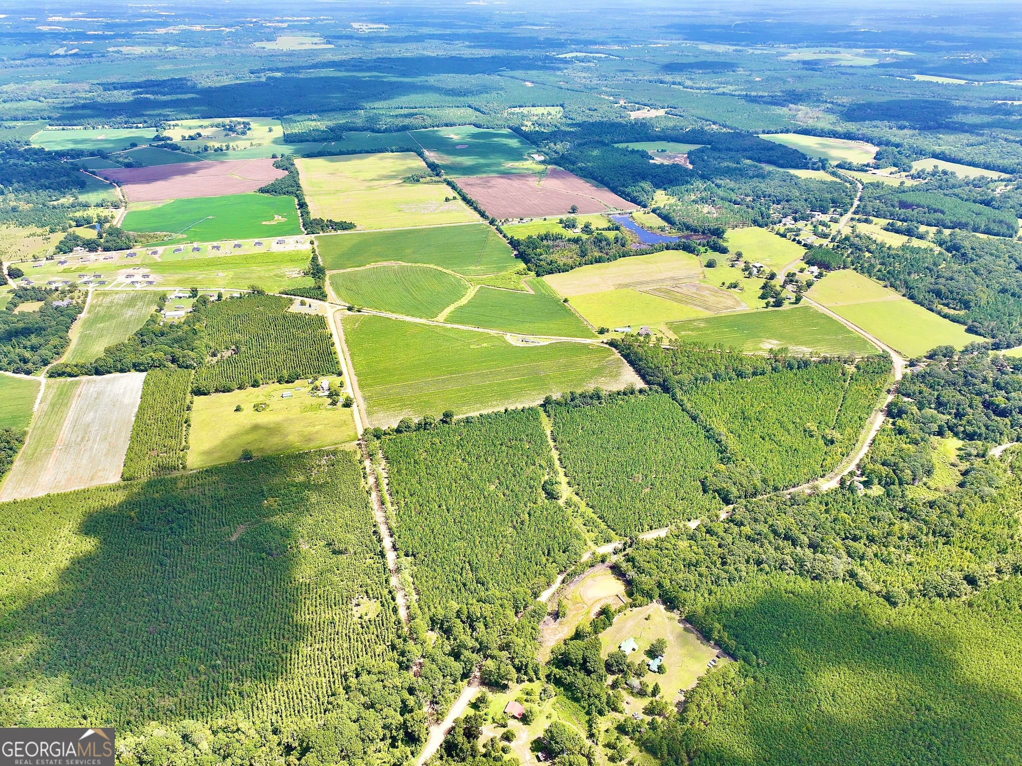 agriculture for sale at 1 Alligood Lane, Dexter, GA 31019 — photo 6
