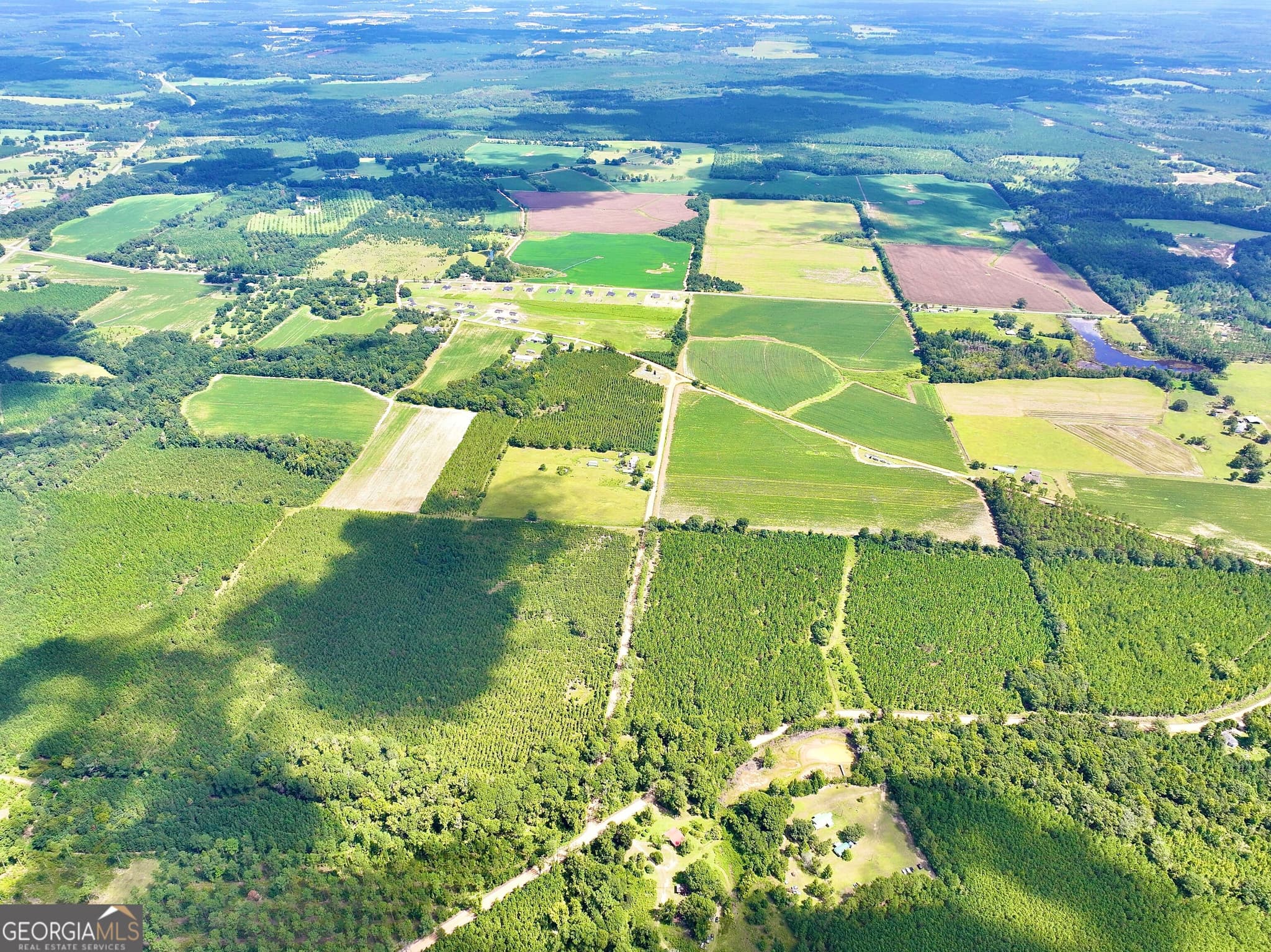 agriculture for sale at 1 Alligood Lane, Dexter, GA 31019 — photo 7