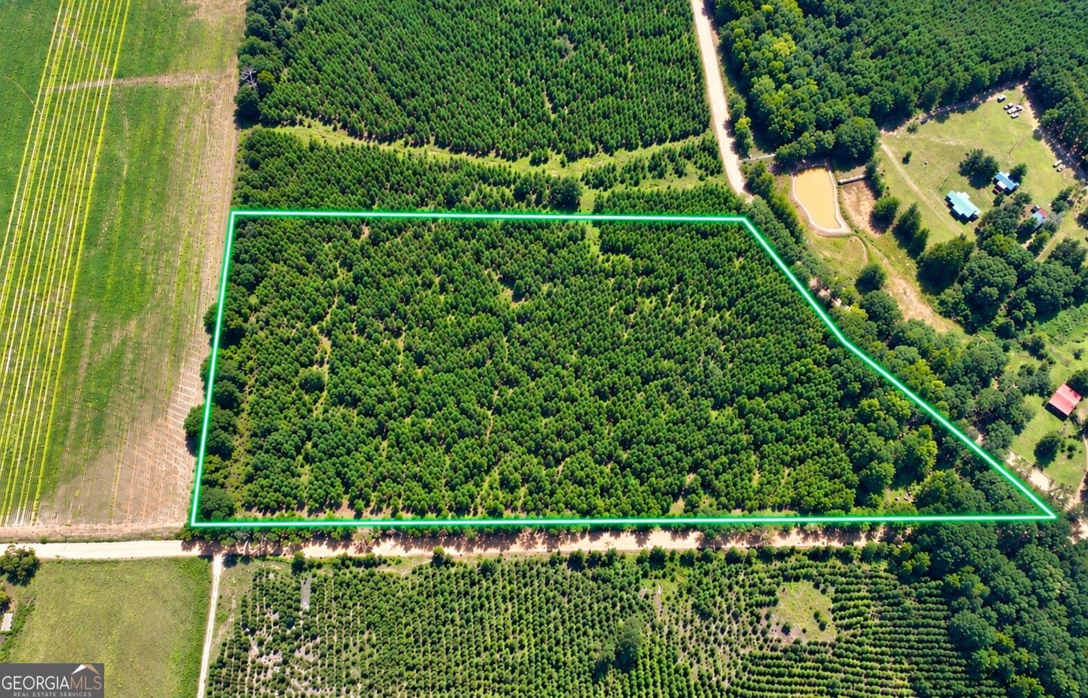 agriculture for sale at 1 Alligood Lane, Dexter, GA 31019 — photo 8