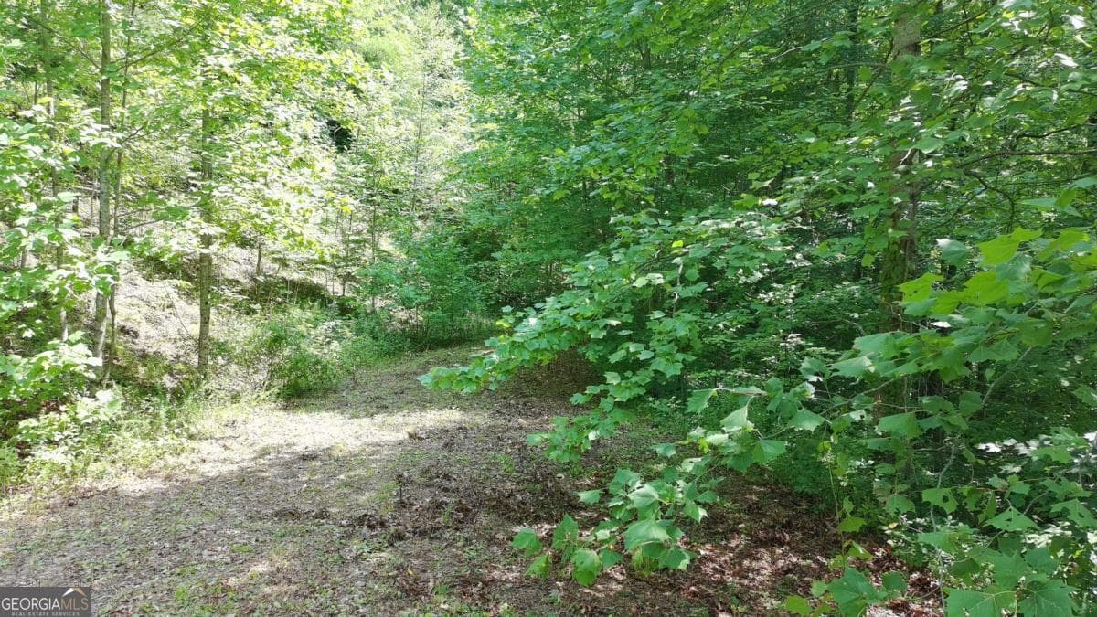 residential lot for sale at 31 & 32 Wolfpen Gap Road, Hiawassee, GA 30546 — photo 2