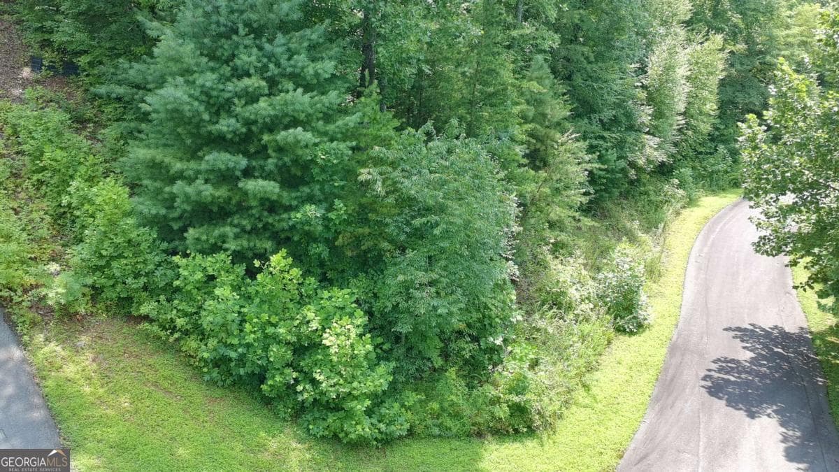 residential lot for sale at 31 & 32 Wolfpen Gap Road, Hiawassee, GA 30546 — photo 6