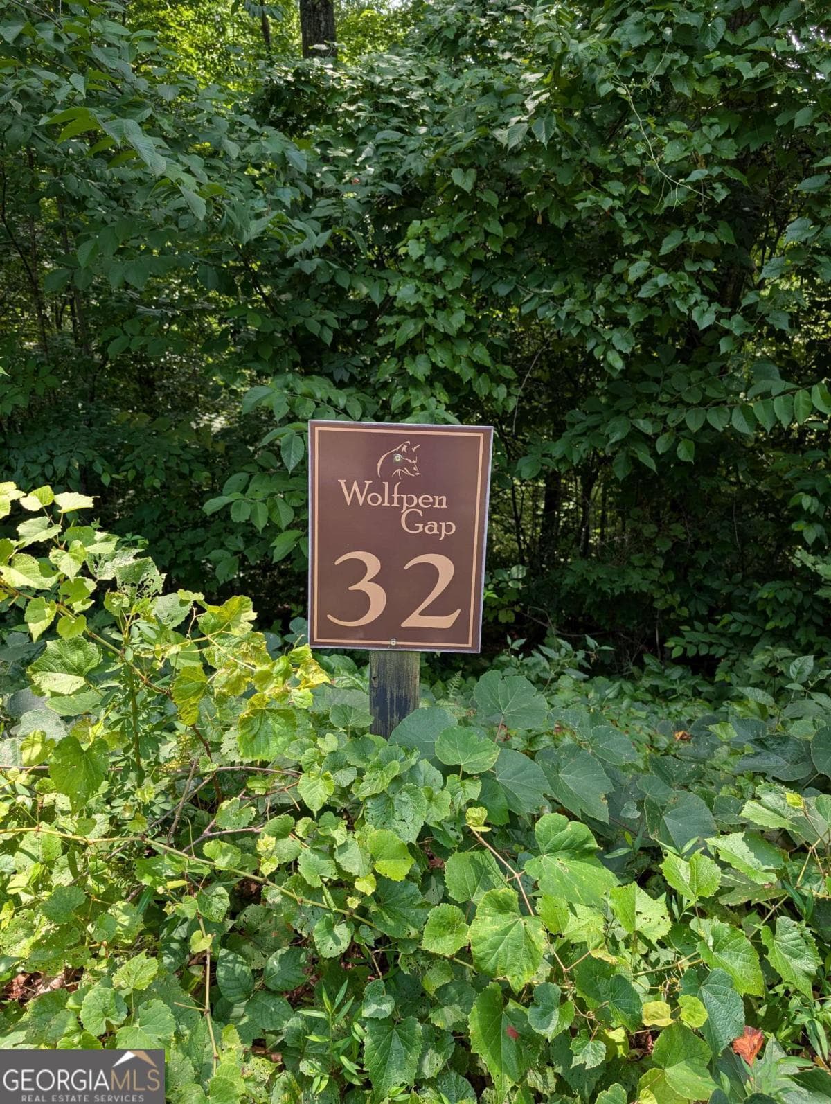 residential lot for sale at 31 & 32 Wolfpen Gap Road, Hiawassee, GA 30546 — photo 7
