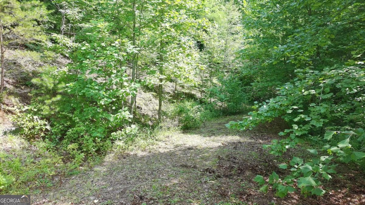 residential lot for sale at 31 & 32 Wolfpen Gap Road, Hiawassee, GA 30546 — photo 3