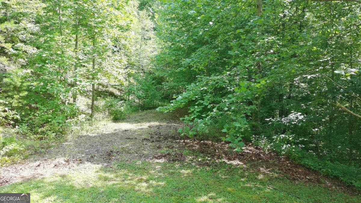 residential lot for sale at 31 & 32 Wolfpen Gap Road, Hiawassee, GA 30546 — photo 1 of 14
