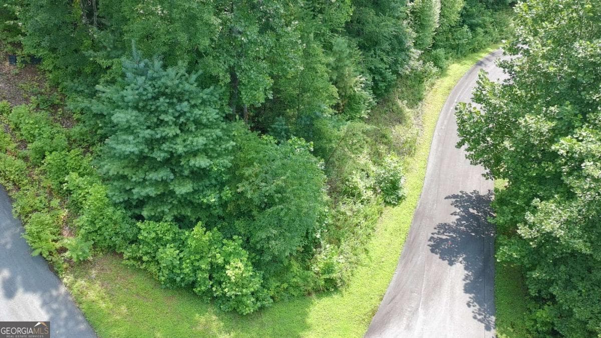 residential lot for sale at 31 & 32 Wolfpen Gap Road, Hiawassee, GA 30546 — photo 5