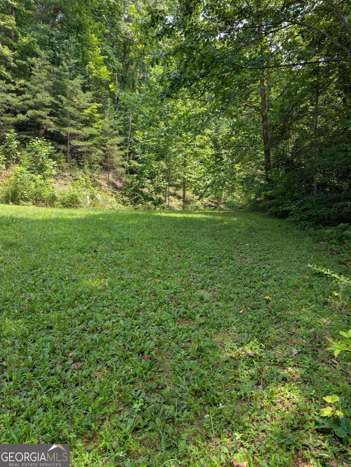 residential lot for sale at 31 & 32 Wolfpen Gap Road, Hiawassee, GA 30546 — photo 9