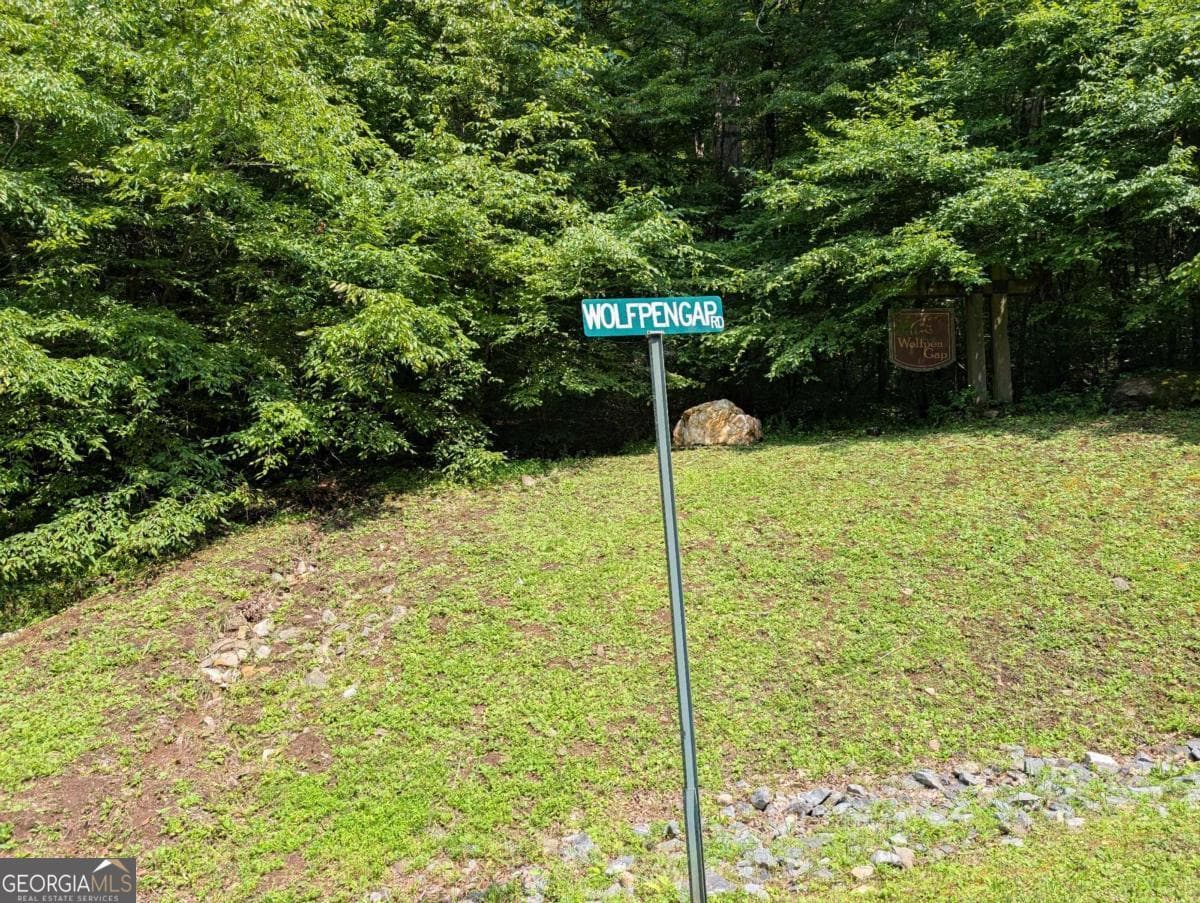 residential lot for sale at 31 & 32 Wolfpen Gap Road, Hiawassee, GA 30546 — photo 10