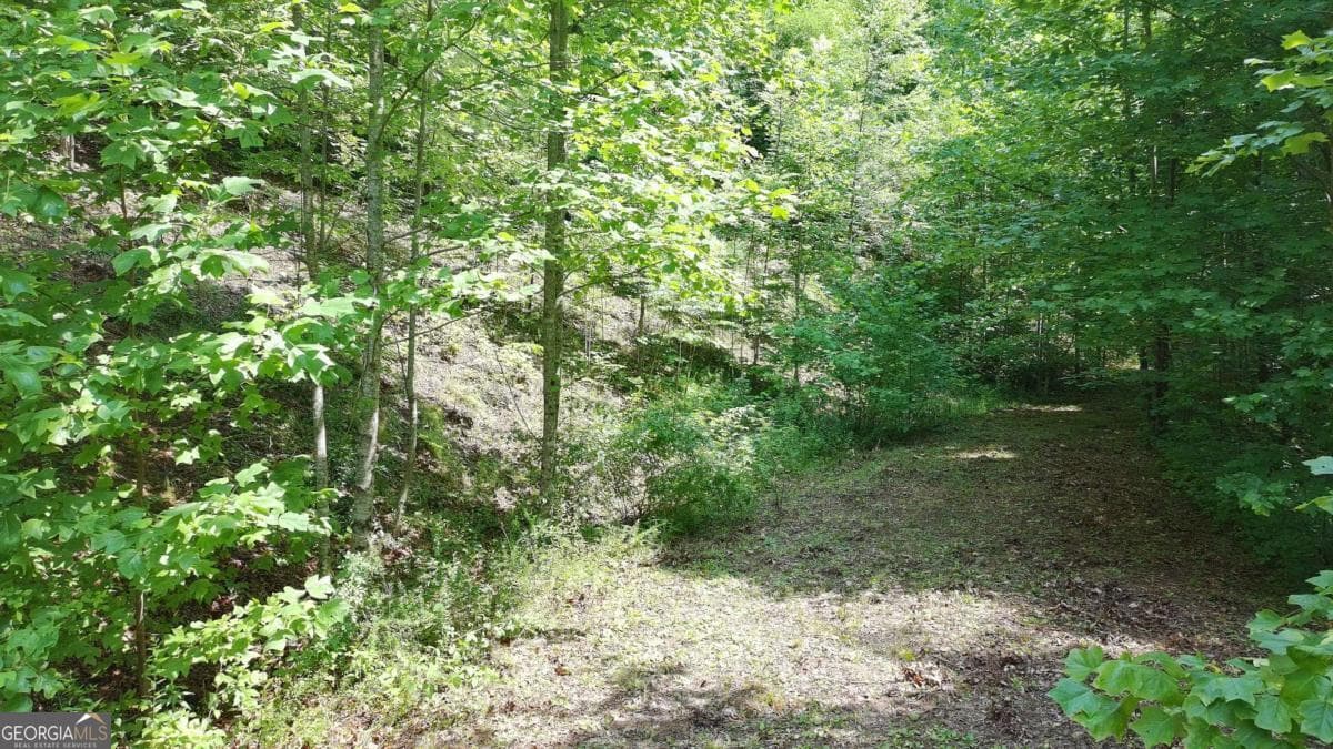residential lot for sale at 31 & 32 Wolfpen Gap Road, Hiawassee, GA 30546 — photo 4