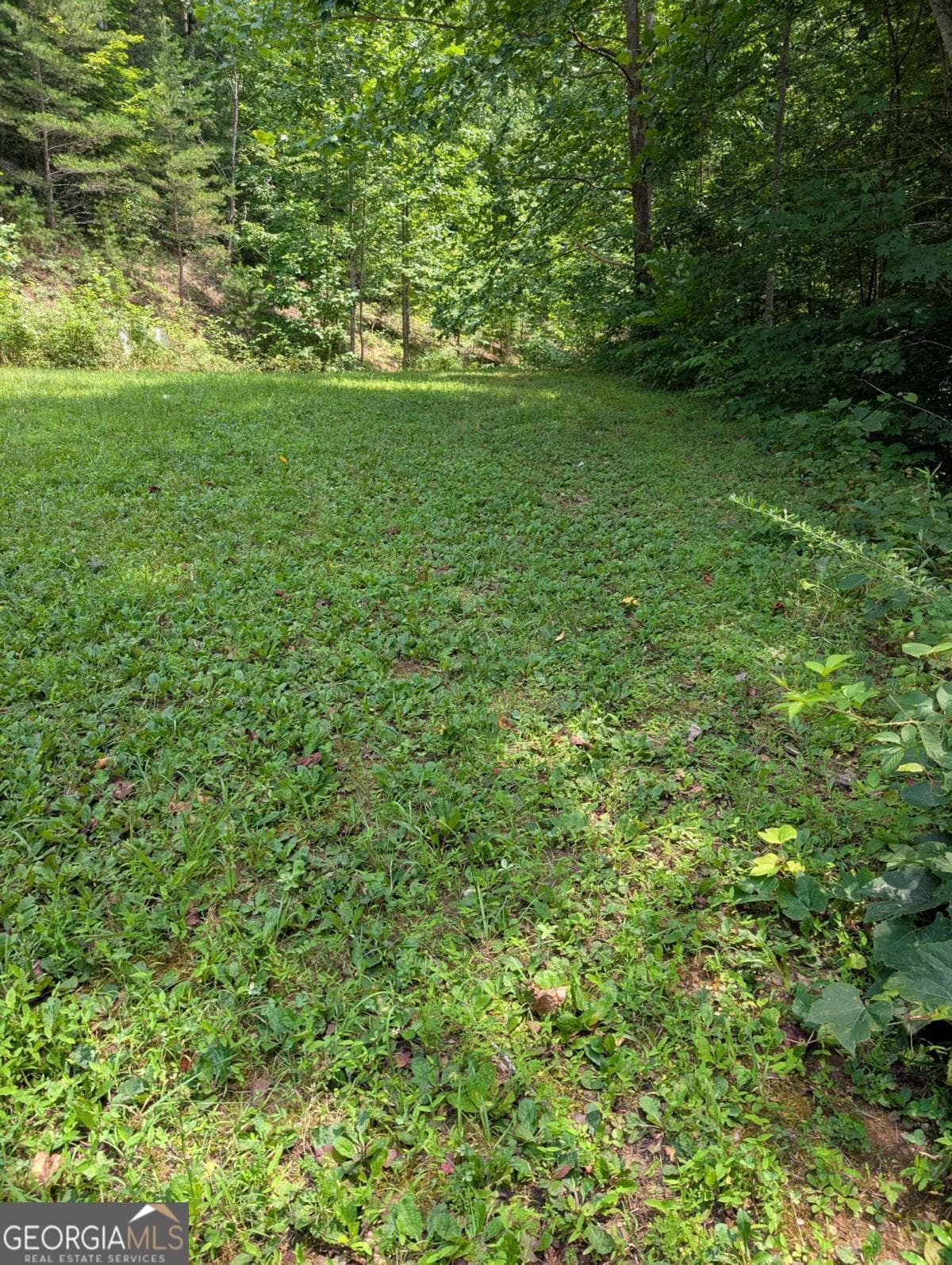 residential lot for sale at 31 & 32 Wolfpen Gap Road, Hiawassee, GA 30546 — photo 8