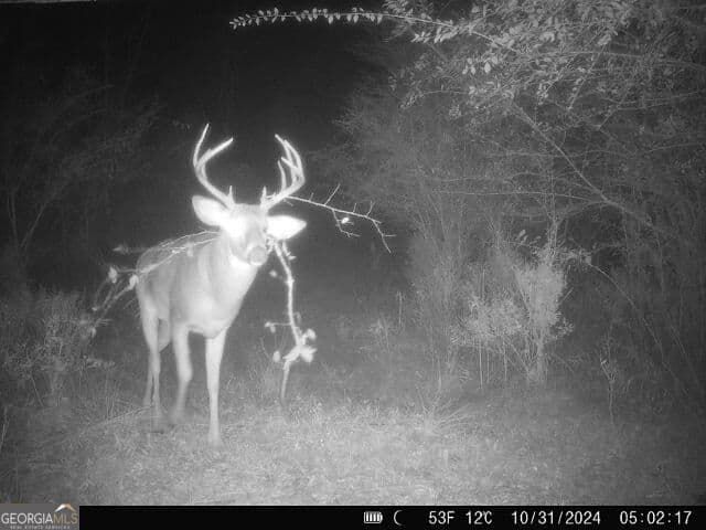 unimproved land for sale at 0 Seven Islands Road, Madison, GA 30650 — photo 5