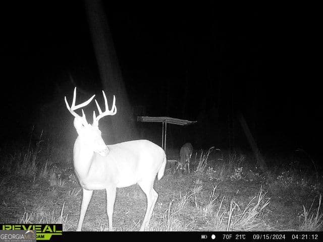 unimproved land for sale at 0 Seven Islands Road, Madison, GA 30650 — photo 8