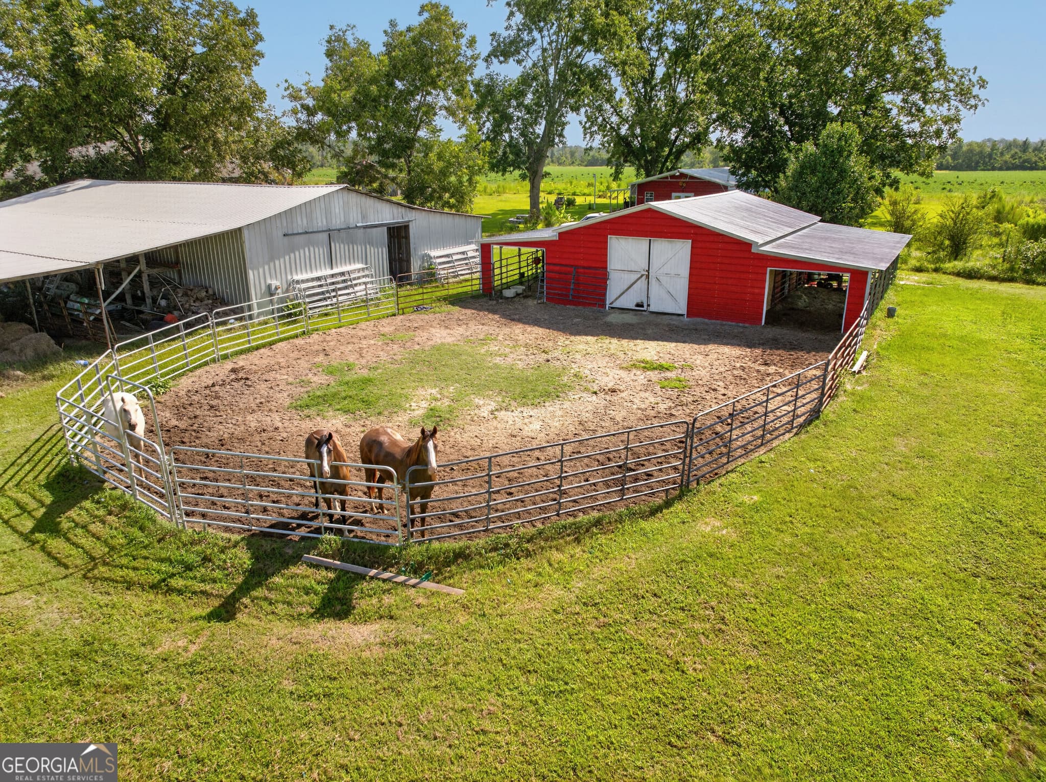 agriculture for sale at 301 Jerry Sutton Road, Alapaha, GA 31622 — photo 10