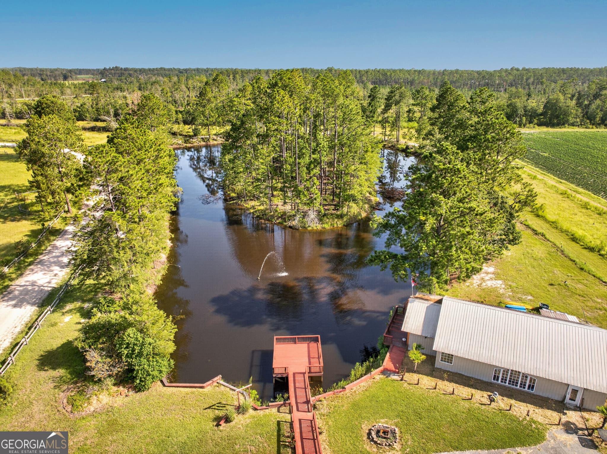 agriculture for sale at 301 Jerry Sutton Road, Alapaha, GA 31622 — photo 4