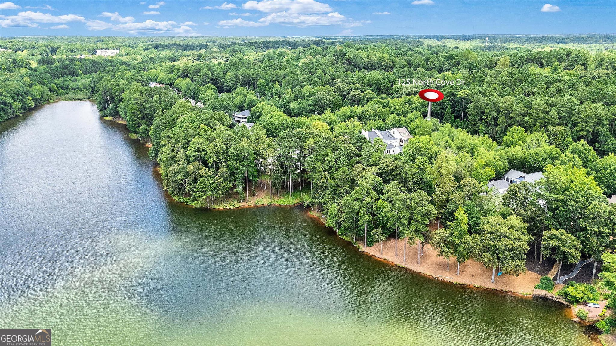 3 bedroom, 2.5 bathroom, 2,681 sq ft single family residence for rent at 125 North Cove Drive, Peachtree City, GA 30269 for $7,400 a month — photo 6