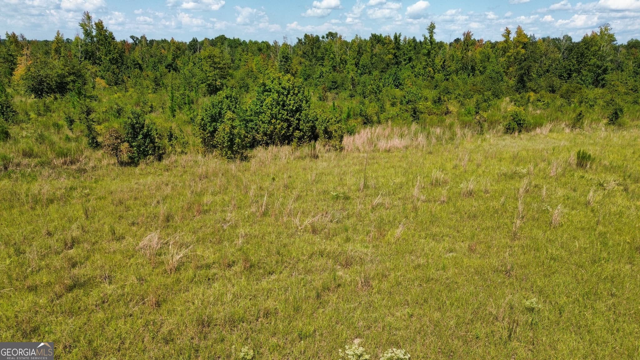unimproved land for sale at 0 Airport Road, Dublin, GA 31021 — photo 2