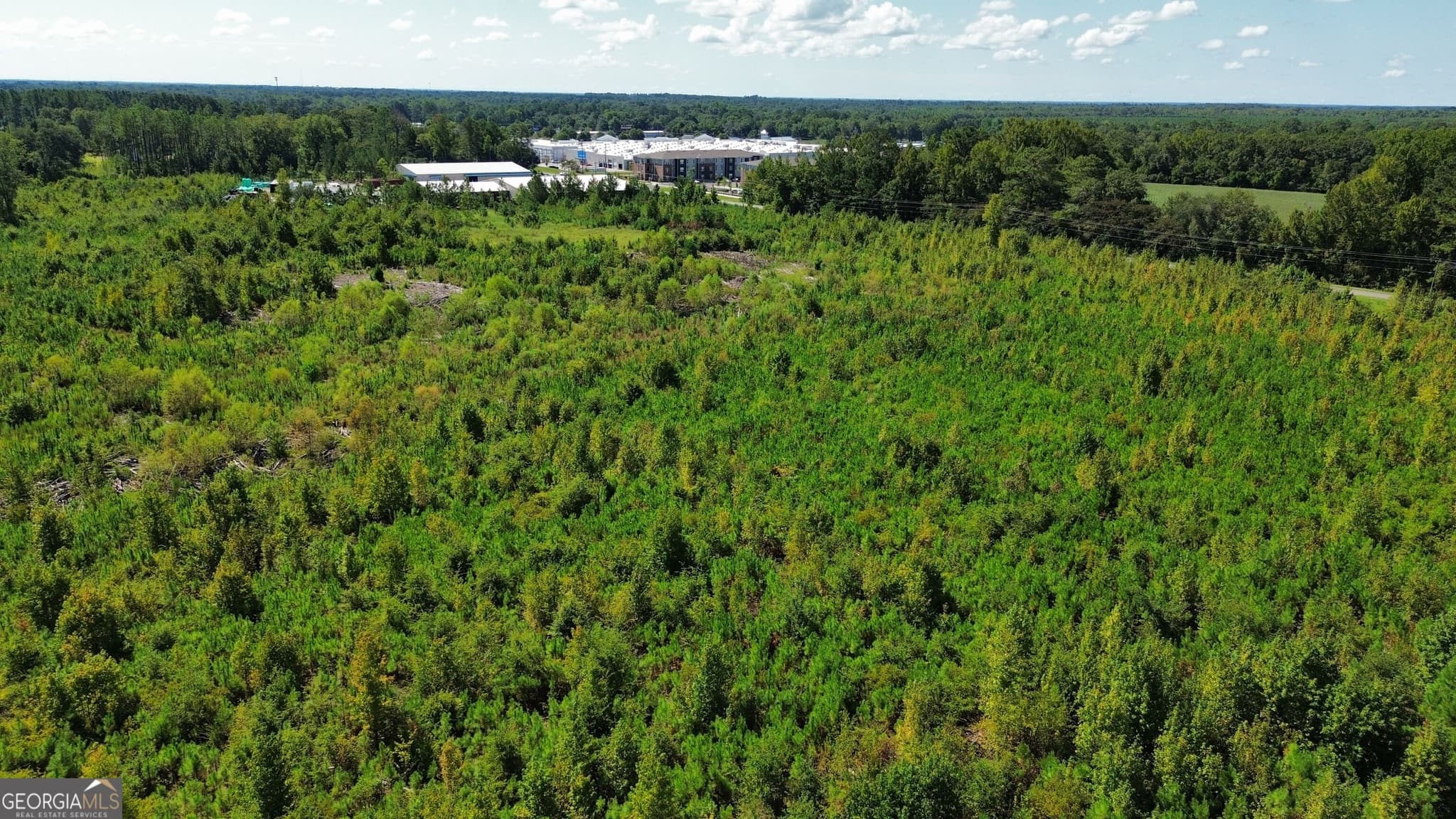 unimproved land for sale at 0 Airport Road, Dublin, GA 31021 — photo 3