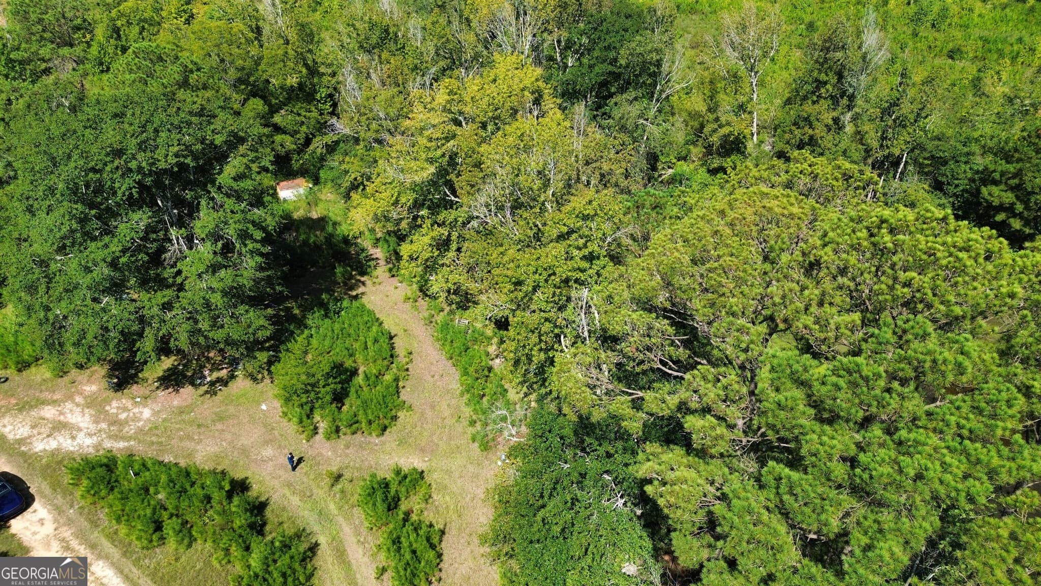 unimproved land for sale at 0 Airport Road, Dublin, GA 31021 — photo 5