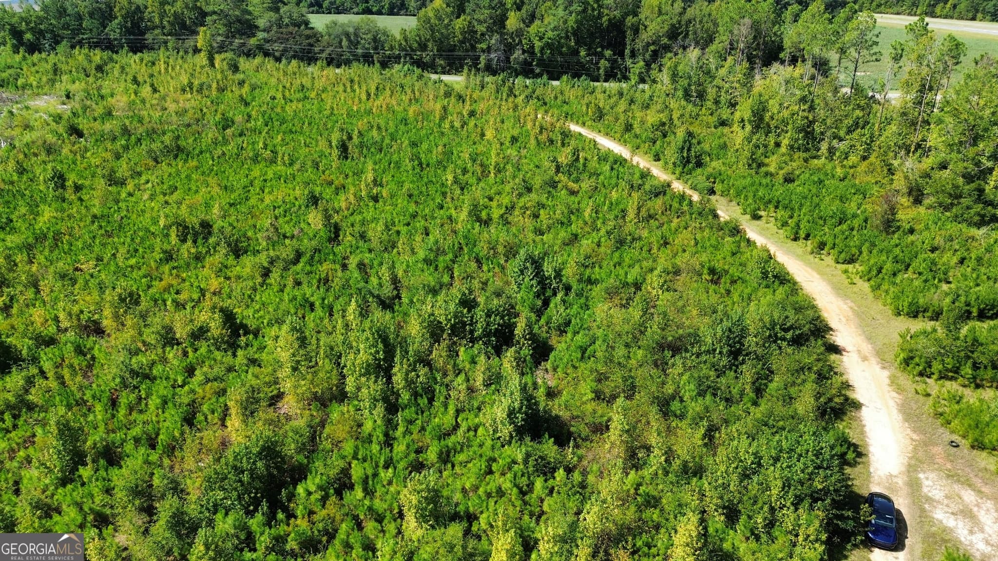 unimproved land for sale at 0 Airport Road, Dublin, GA 31021 — photo 4