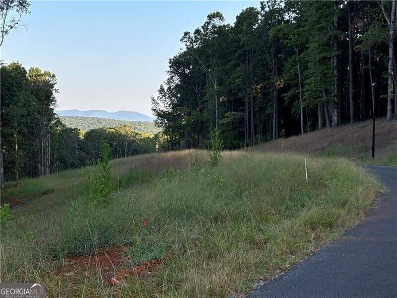 residential lot for sale at LOT 21 Norton Lane, Dahlonega, GA 30533 — photo 9