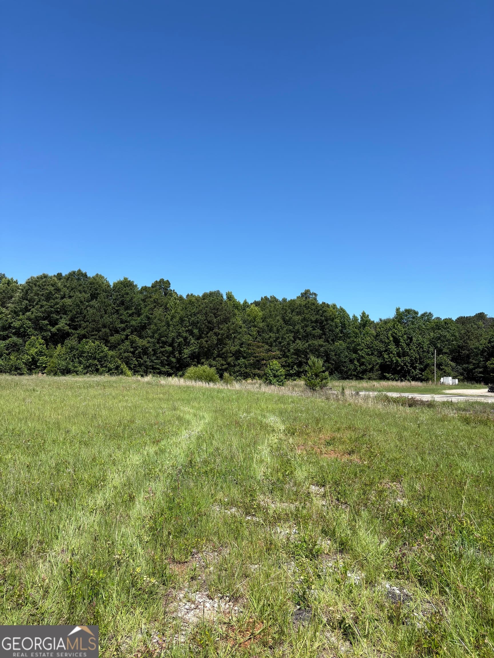 unimproved land for sale at 3.31 M Friedman Drive, Sandersville, GA 31082 — photo 2