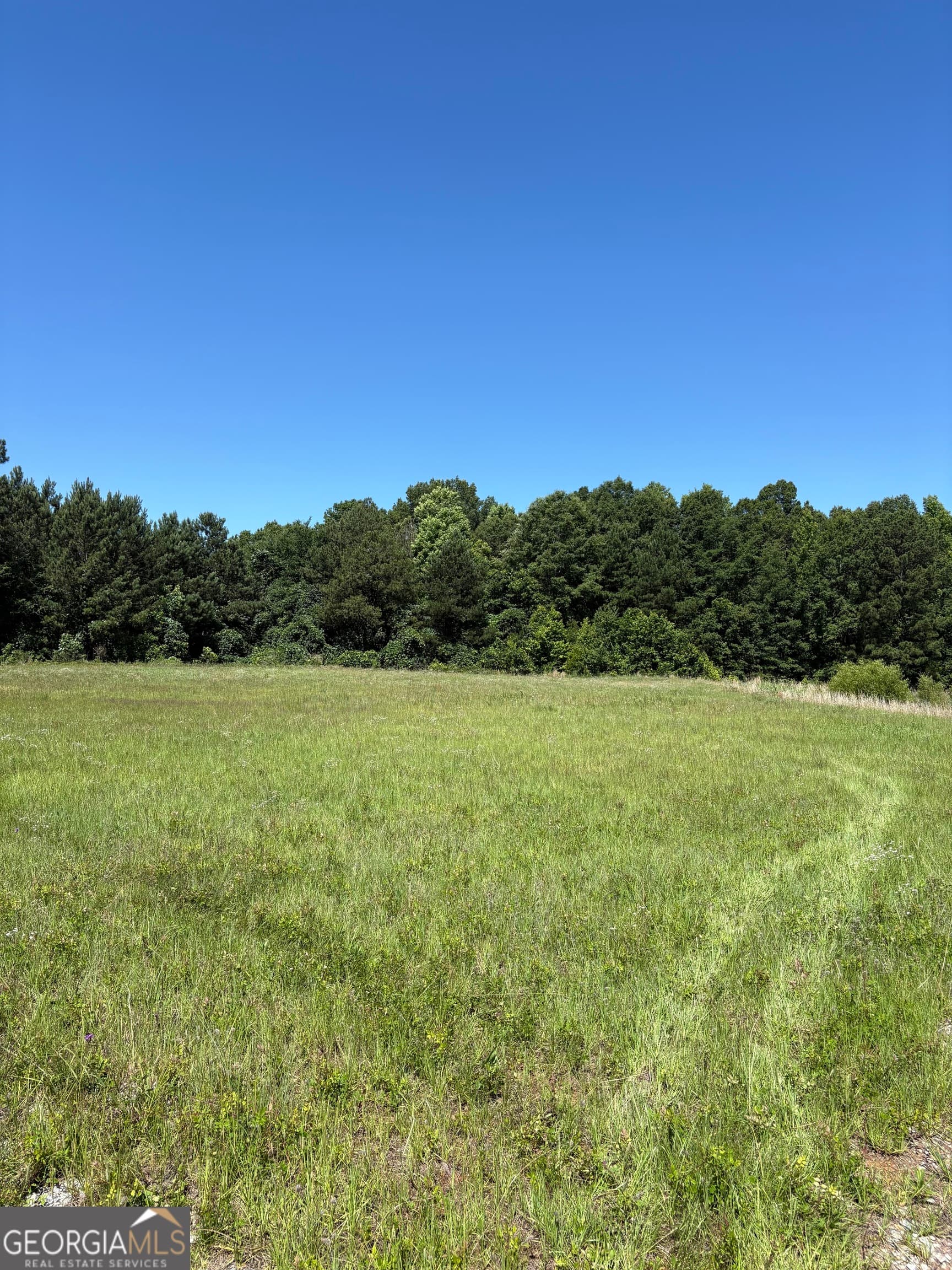 unimproved land for sale at 3.31 M Friedman Drive, Sandersville, GA 31082 — photo 3