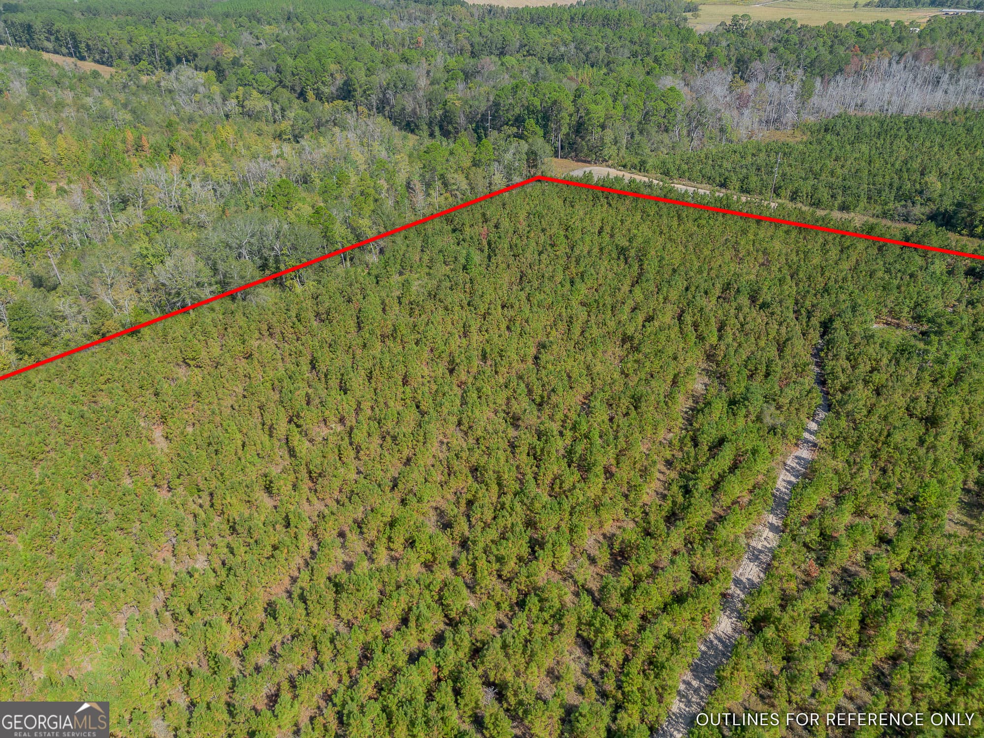 agriculture for sale at TRACT 2 Kinnett Road, Jacksonville, GA 31544 — photo 6