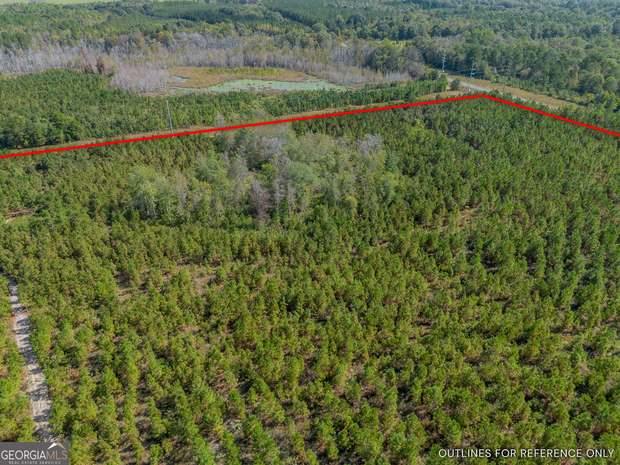 agriculture for sale at TRACT 2 Kinnett Road, Jacksonville, GA 31544 — photo 7