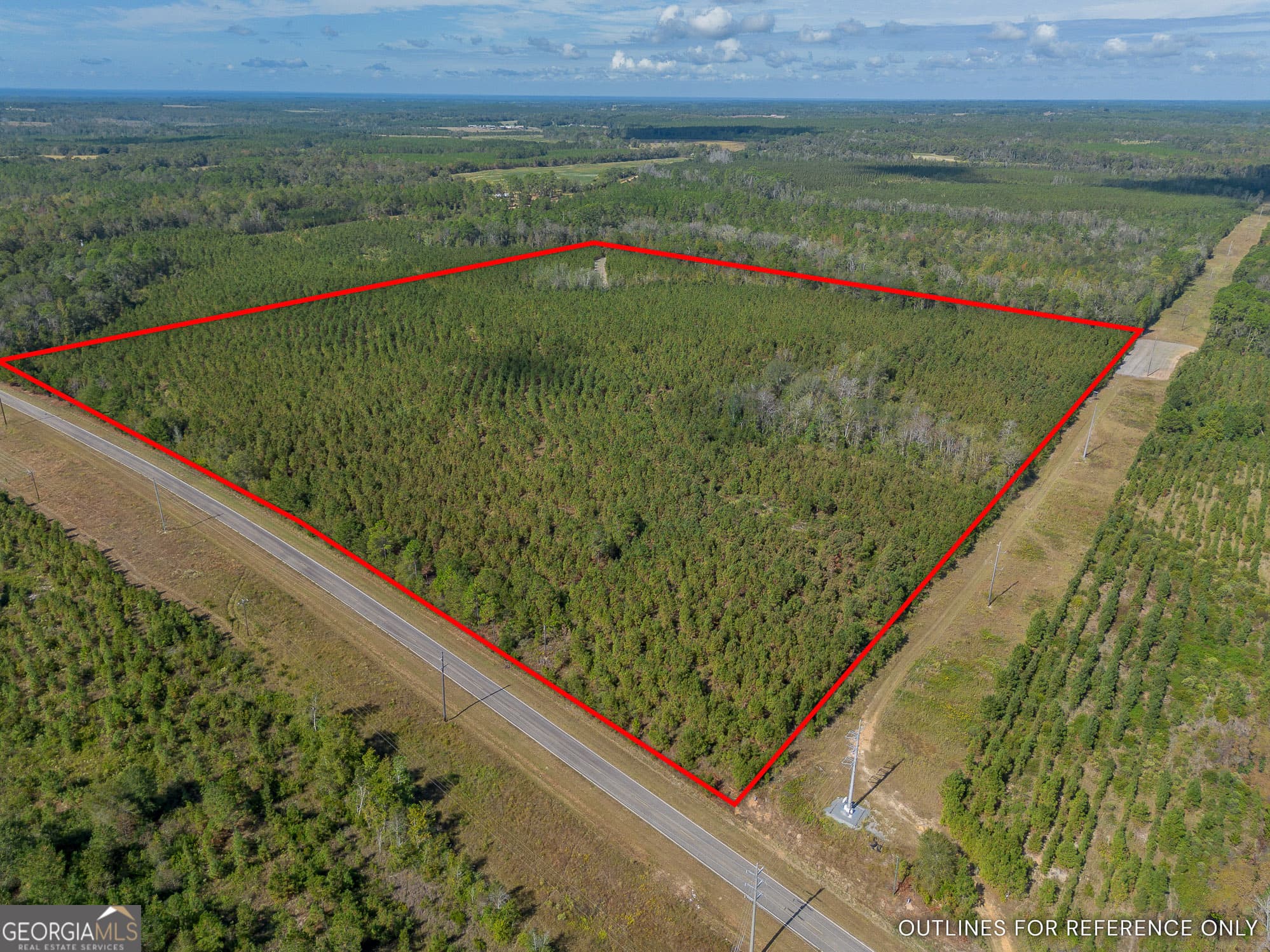 agriculture for sale at TRACT 2 Kinnett Road, Jacksonville, GA 31544 — photo 3
