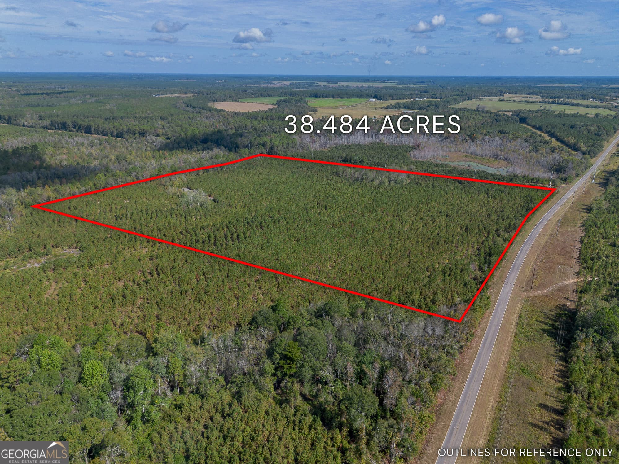 agriculture for sale at TRACT 2 Kinnett Road, Jacksonville, GA 31544