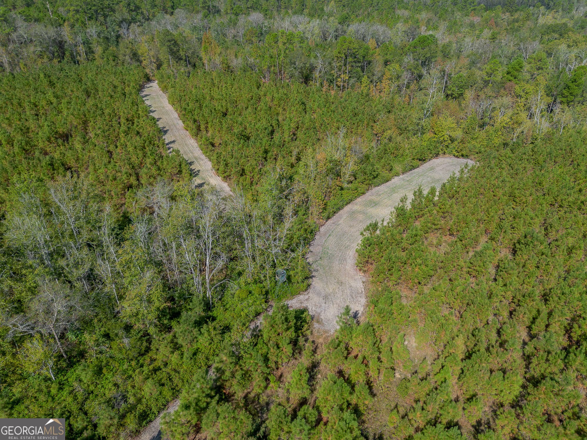 agriculture for sale at TRACT 2 Kinnett Road, Jacksonville, GA 31544 — photo 5