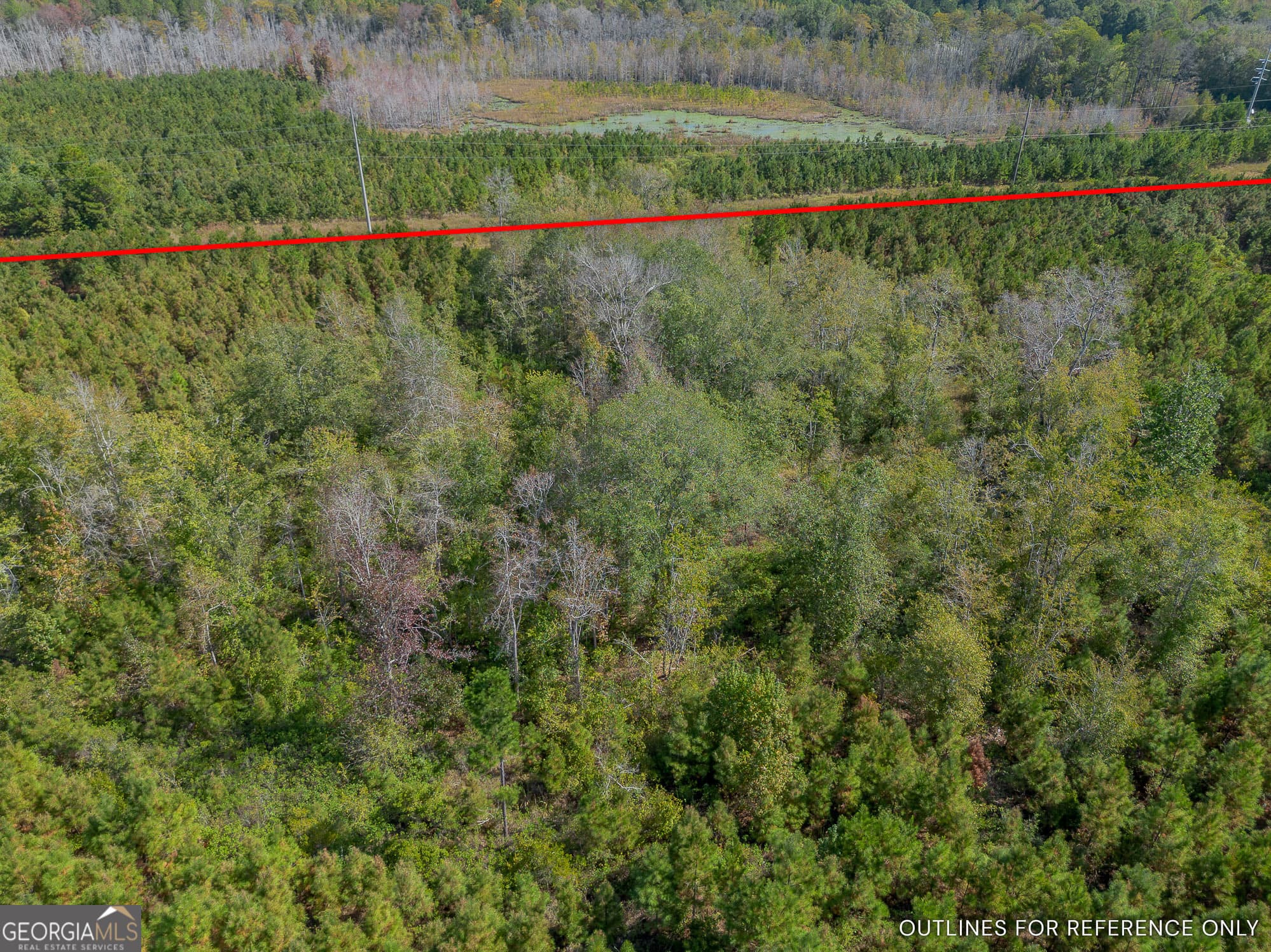 agriculture for sale at TRACT 2 Kinnett Road, Jacksonville, GA 31544 — photo 9
