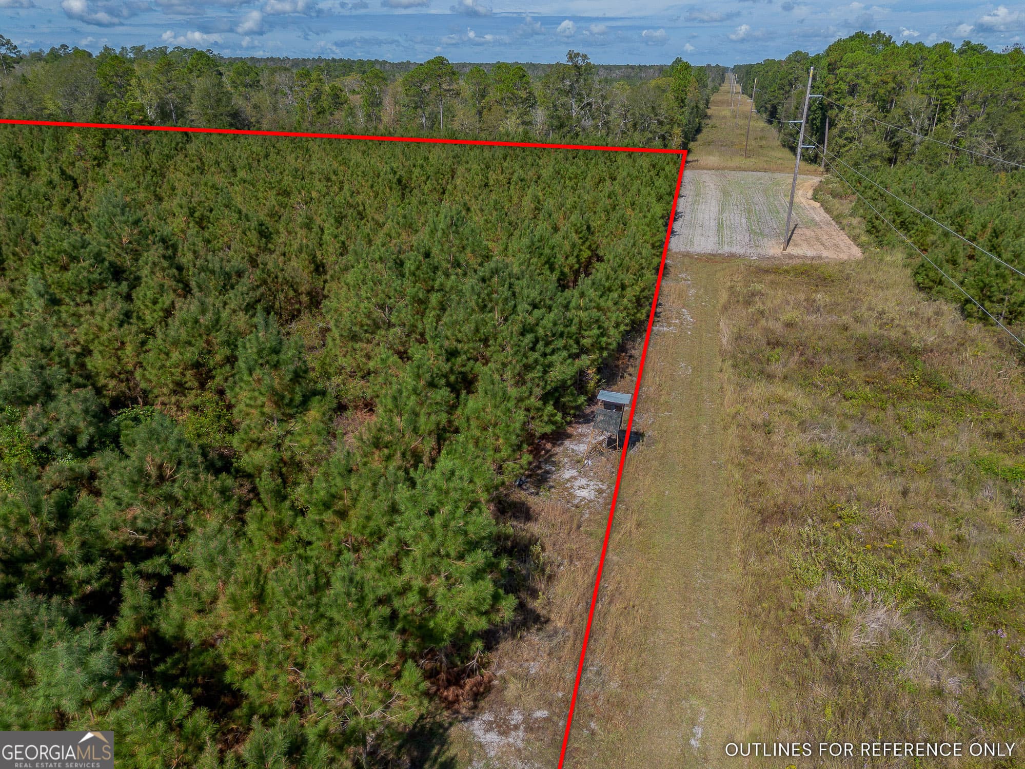 agriculture for sale at TRACT 2 Kinnett Road, Jacksonville, GA 31544 — photo 10