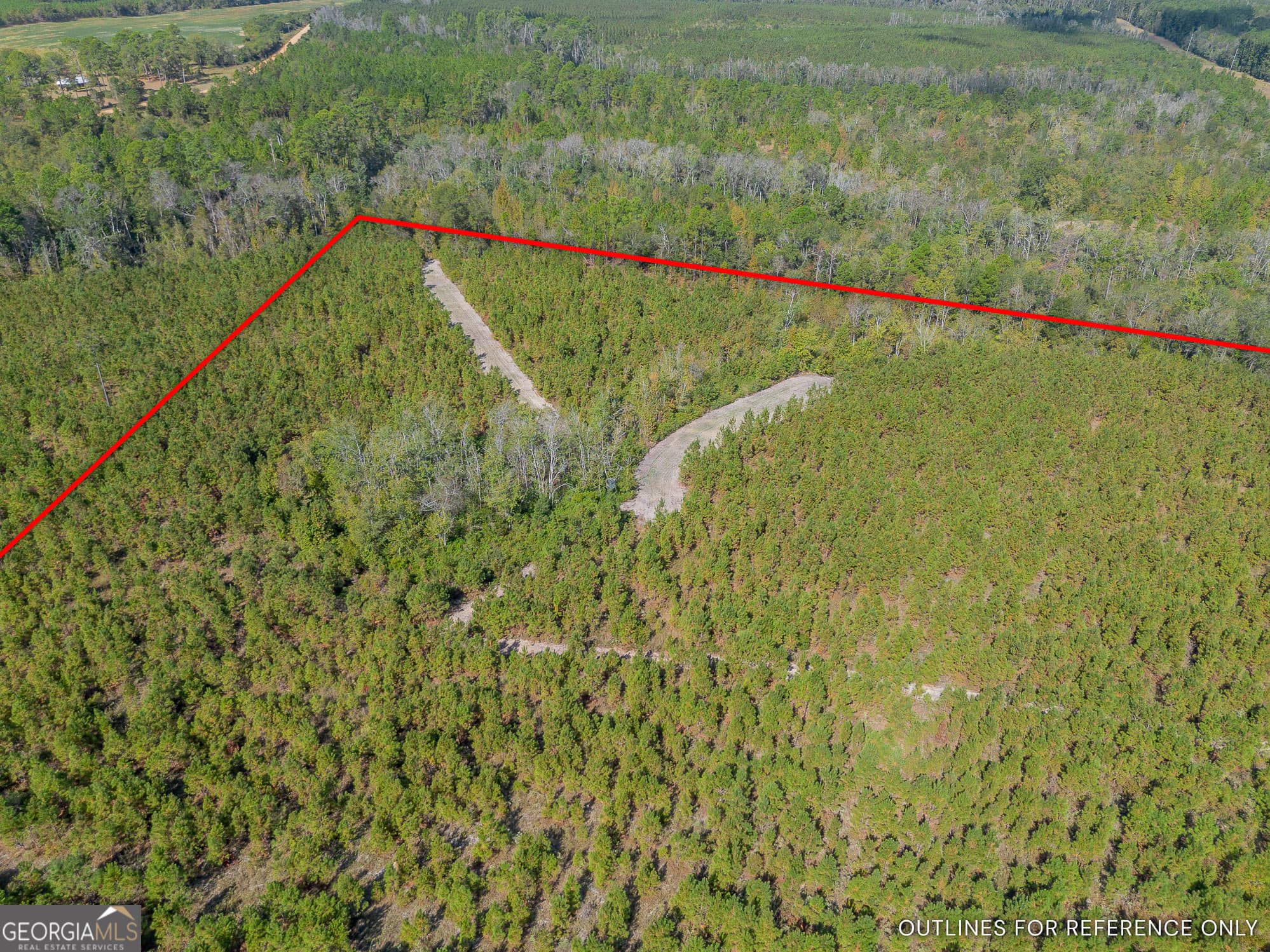 agriculture for sale at TRACT 2 Kinnett Road, Jacksonville, GA 31544 — photo 4