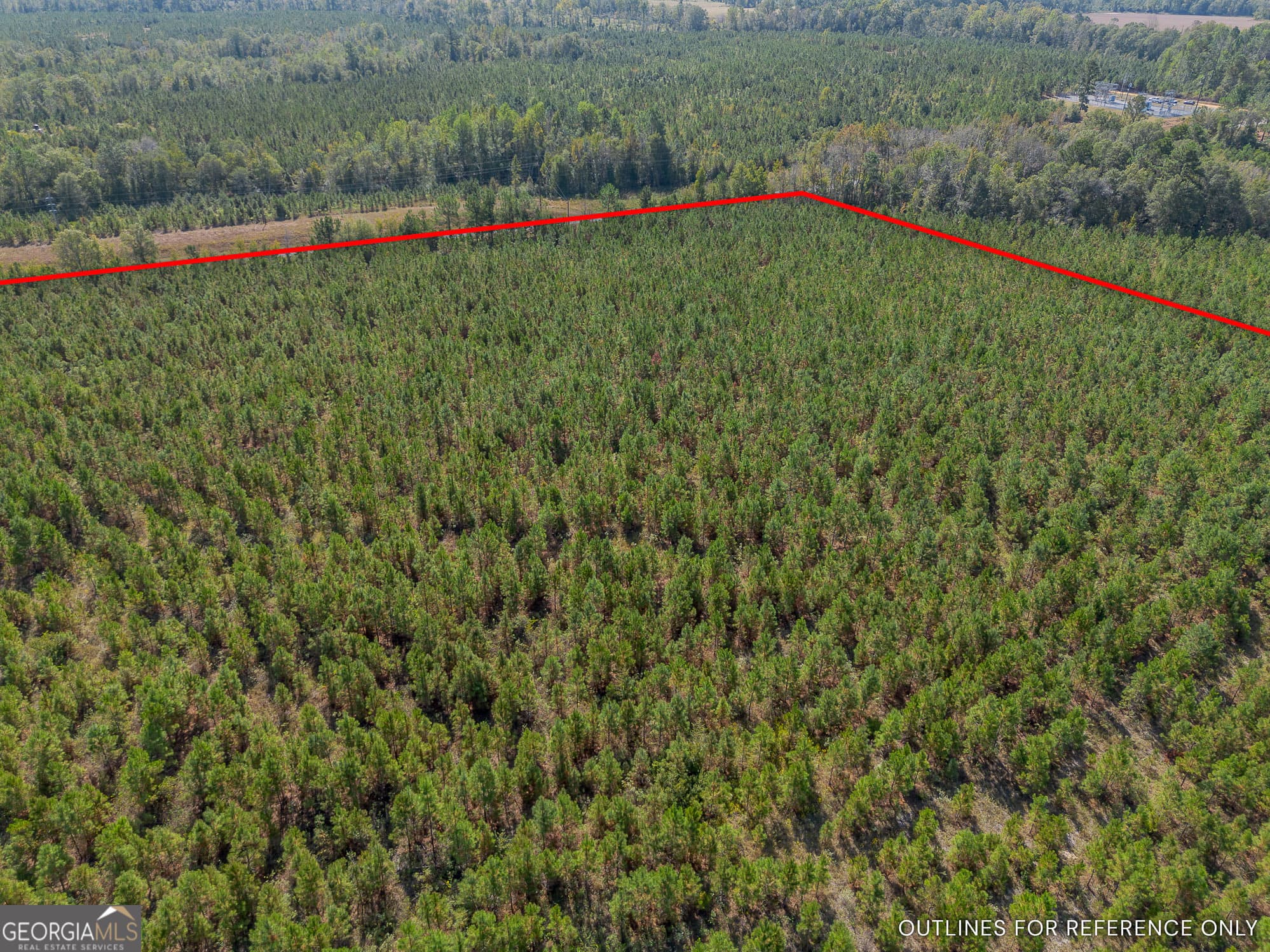 agriculture for sale at TRACT 2 Kinnett Road, Jacksonville, GA 31544 — photo 8