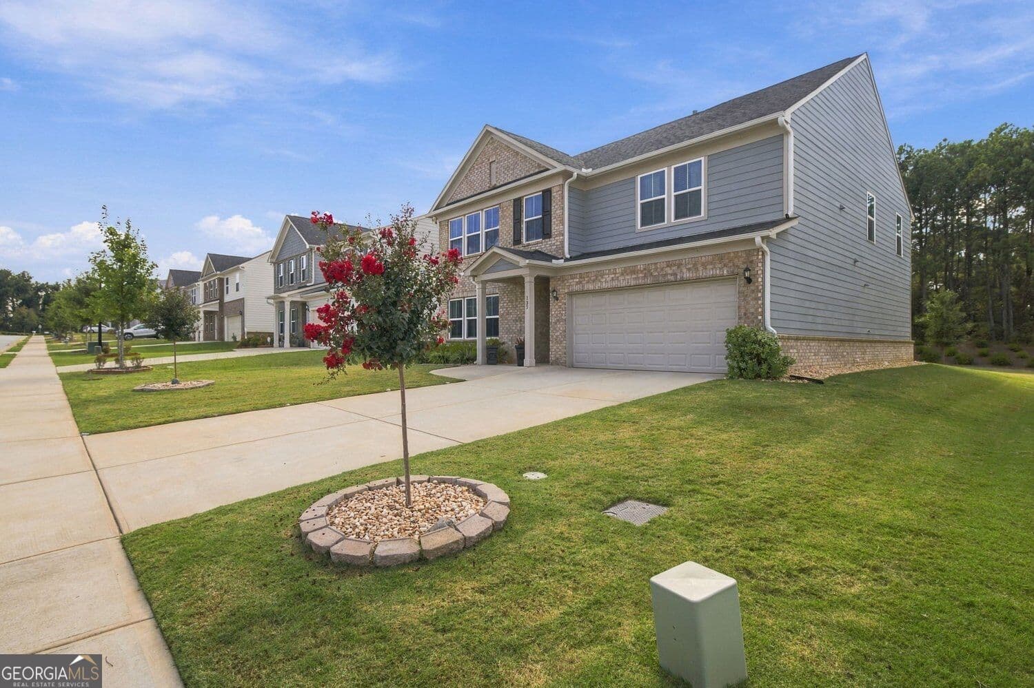 3 bedroom, 2.5 bathroom, 3,158 sq ft single family residence for sale at 137 Poppy Street, Mcdonough, GA 30253 — photo 3