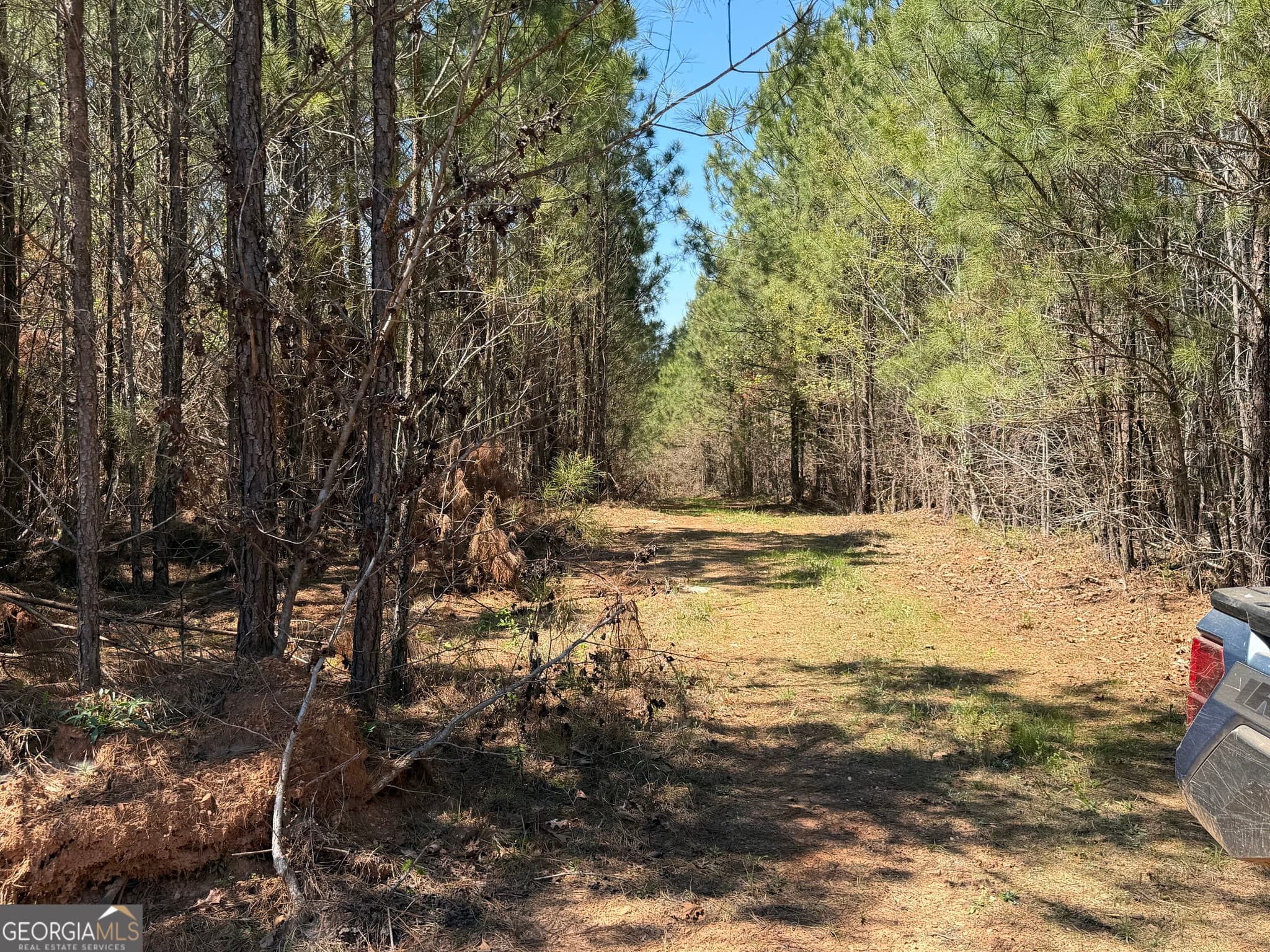 agriculture for sale at 0 County Road 79, Wadley, AL 36276 — photo 2