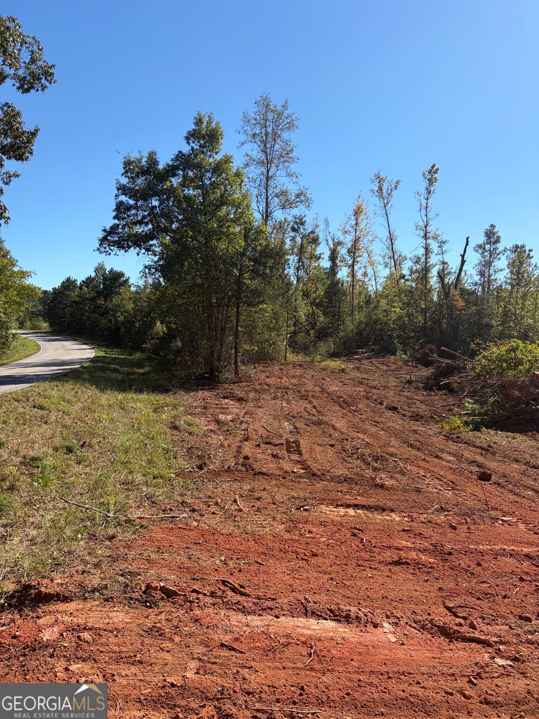 agriculture for sale at 0 County Road 79, Wadley, AL 36276 — photo 6