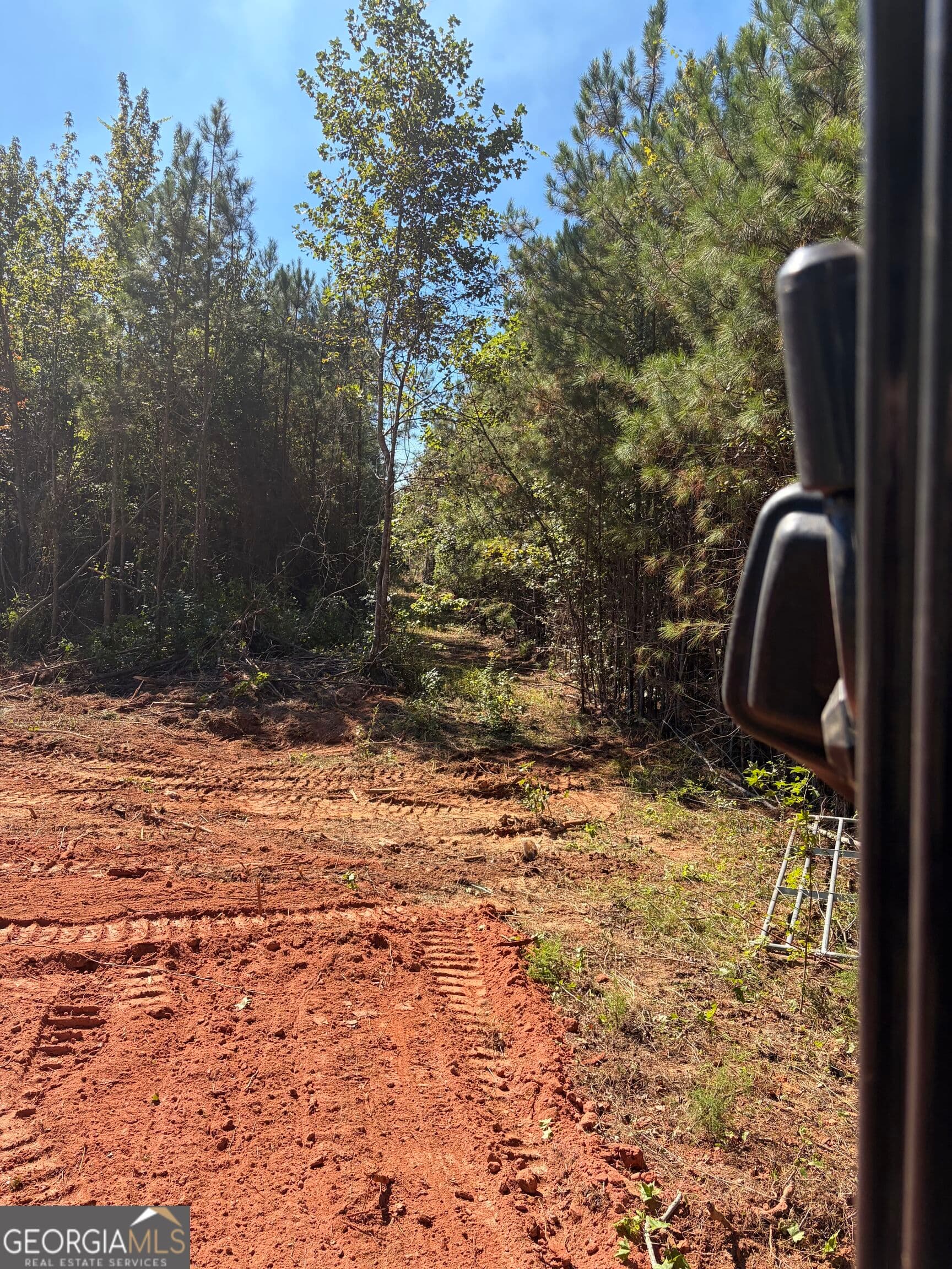 agriculture for sale at 0 County Road 79, Wadley, AL 36276 — photo 7
