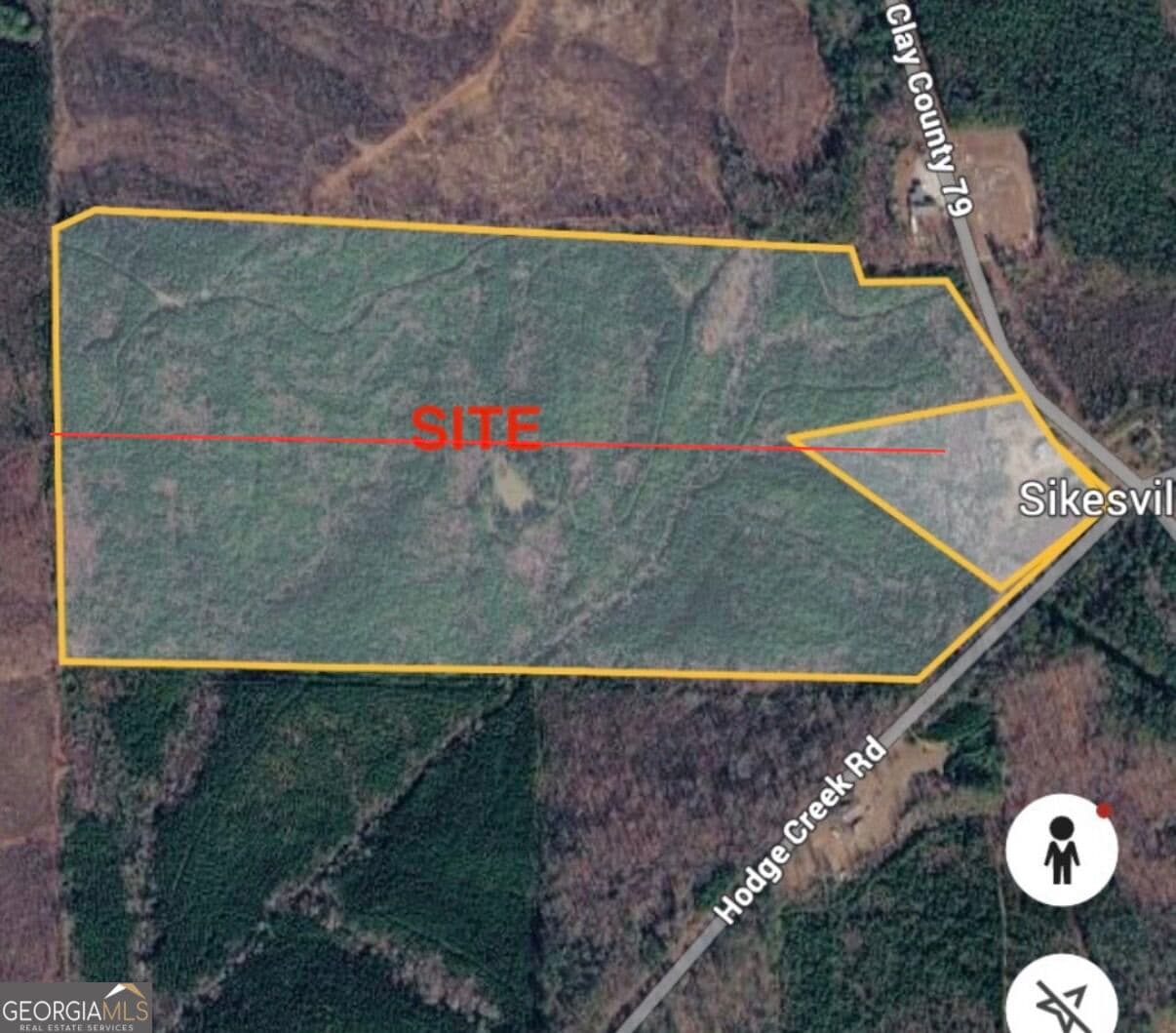 agriculture for sale at 0 County Road 79, Wadley, AL 36276 — photo 3