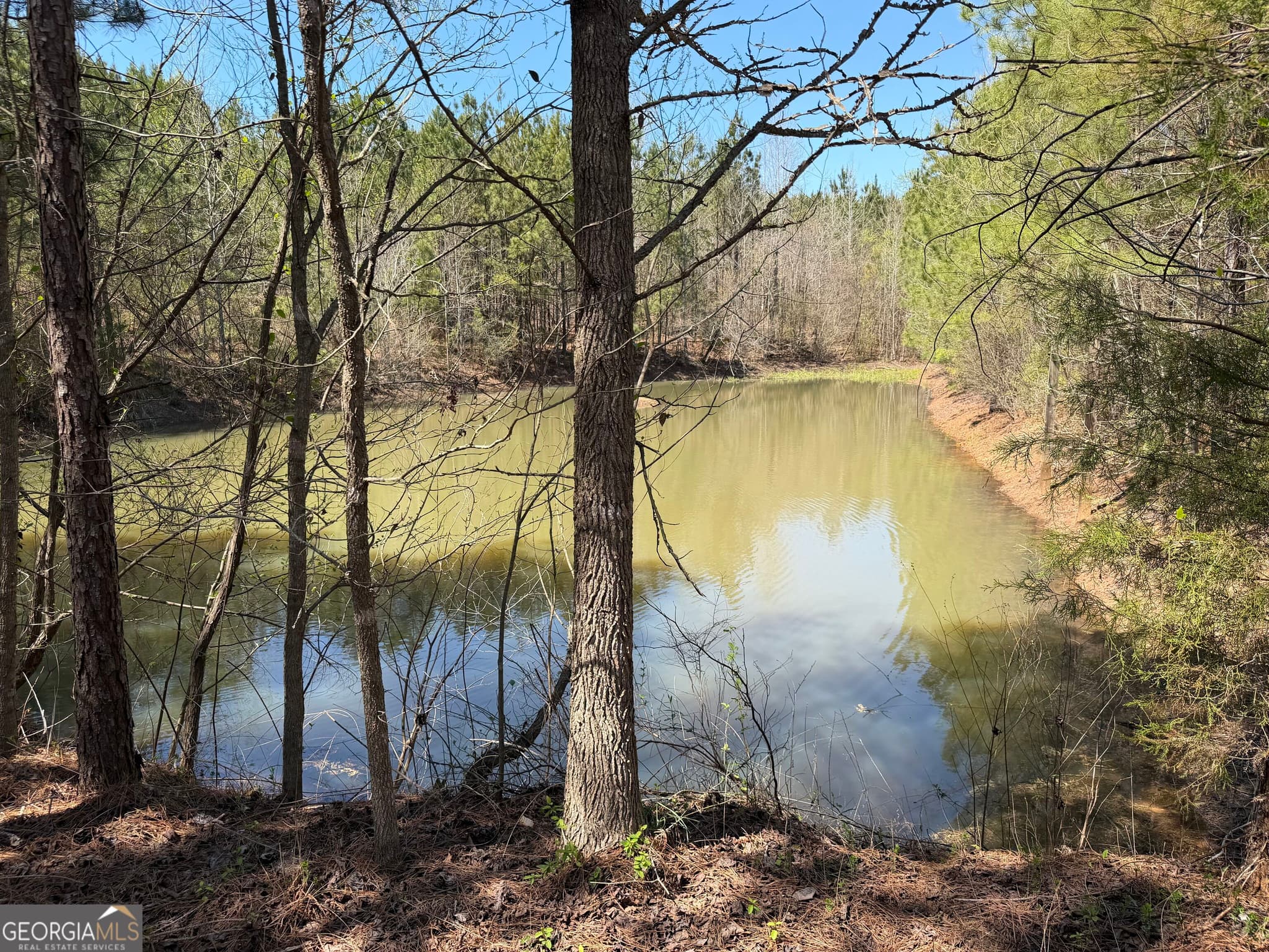 agriculture for sale at 0 County Road 79, Wadley, AL 36276