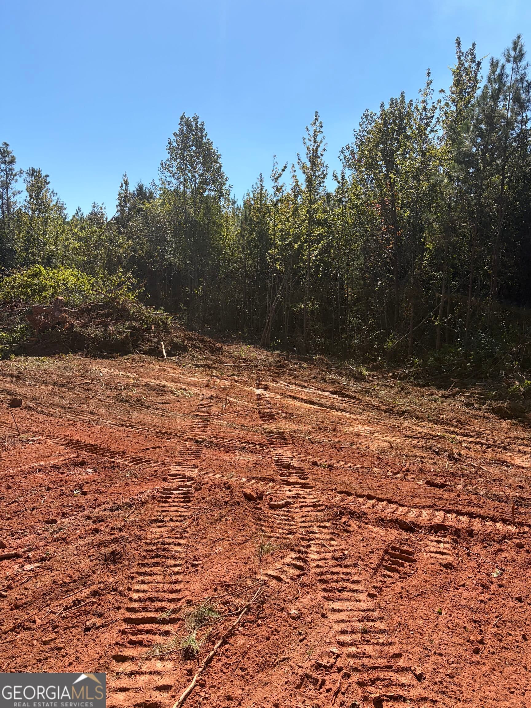 agriculture for sale at 0 County Road 79, Wadley, AL 36276 — photo 5