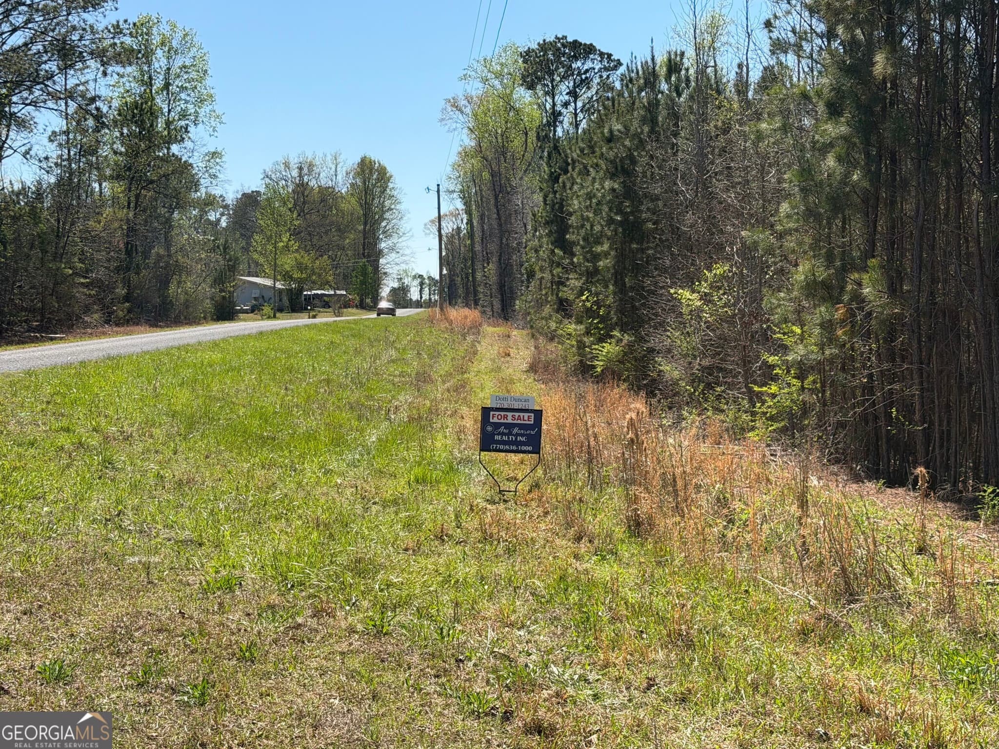 agriculture for sale at 0 County Road 79, Wadley, AL 36276 — photo 9