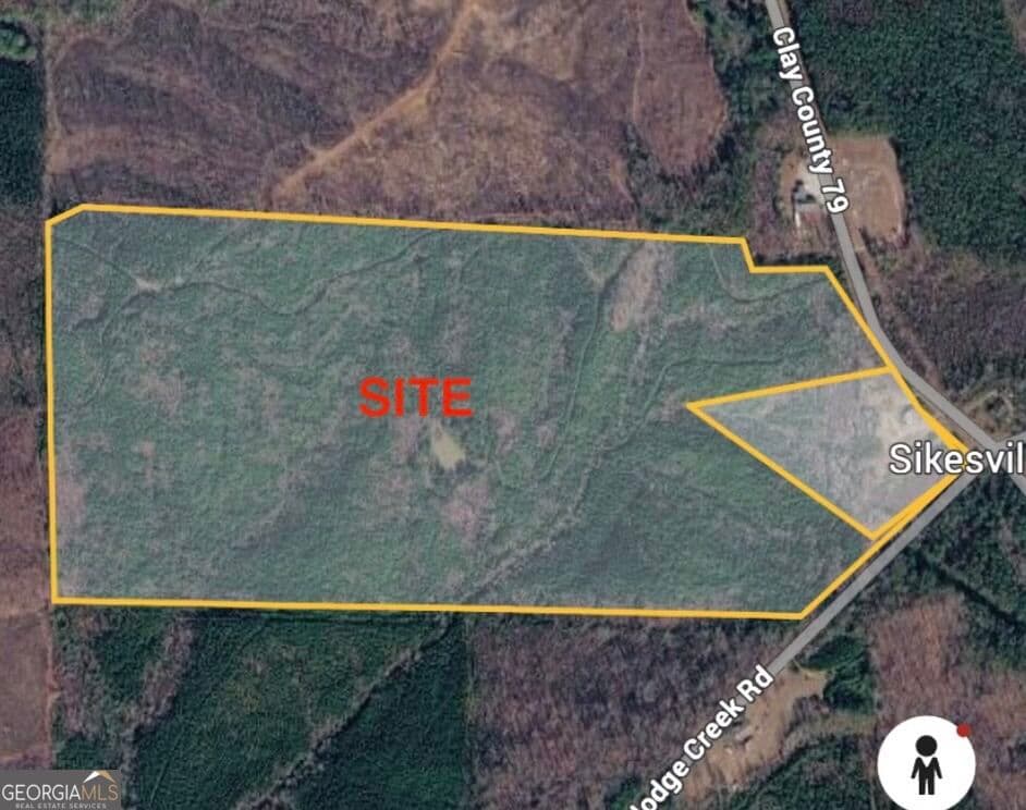 agriculture for sale at 0 County Road 79, Wadley, AL 36276 — photo 4