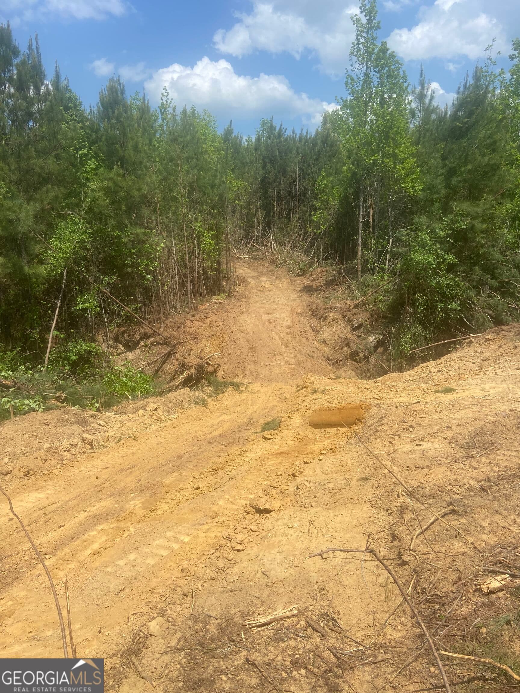 agriculture for sale at 0 County Road 79, Wadley, AL 36276 — photo 8