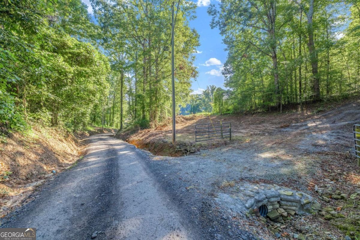unimproved land for sale at 0 Myrtle Drive, Dahlonega, GA 30533 — photo 4
