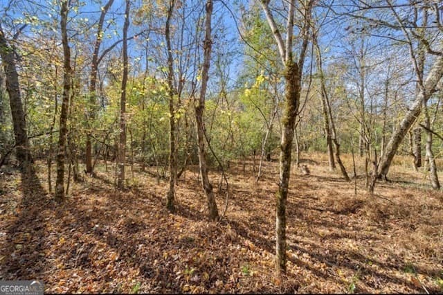 residential lot for sale at 0 Cords Bridge Road, Milledgeville, GA 31061 — photo 2