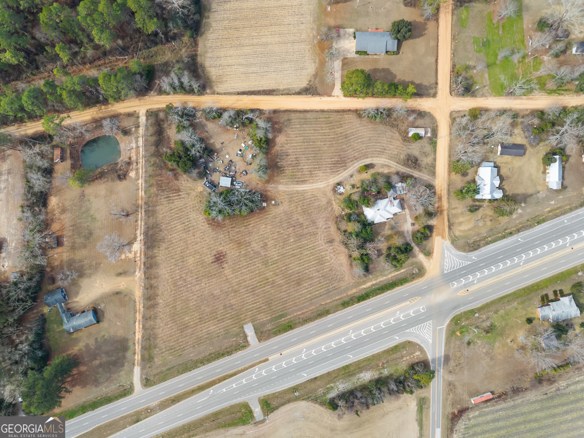 agriculture for sale at 12955 Highway 67, Statesboro, GA 30458 — photo 2