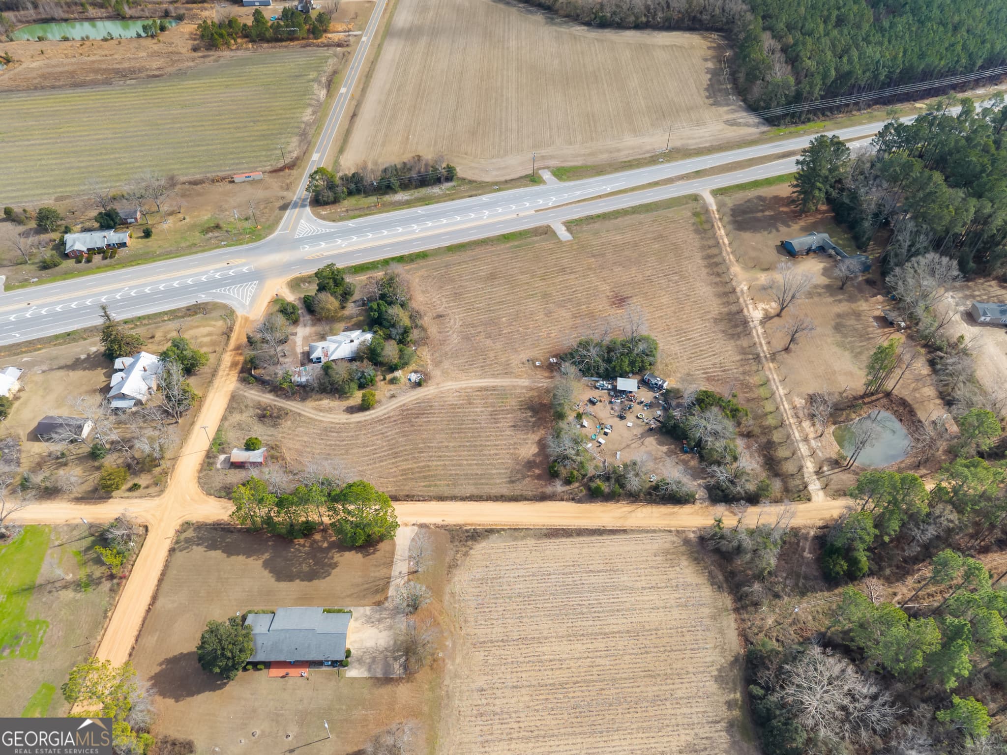 agriculture for sale at 12955 Highway 67, Statesboro, GA 30458 — photo 6